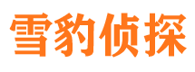 登封找人公司